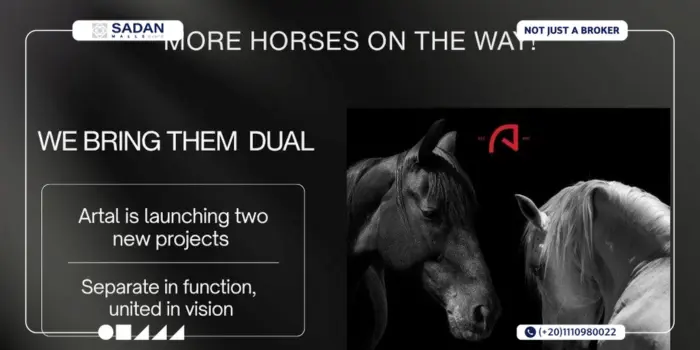 مول ويلين التجمع الخامس Wellen New Cairo