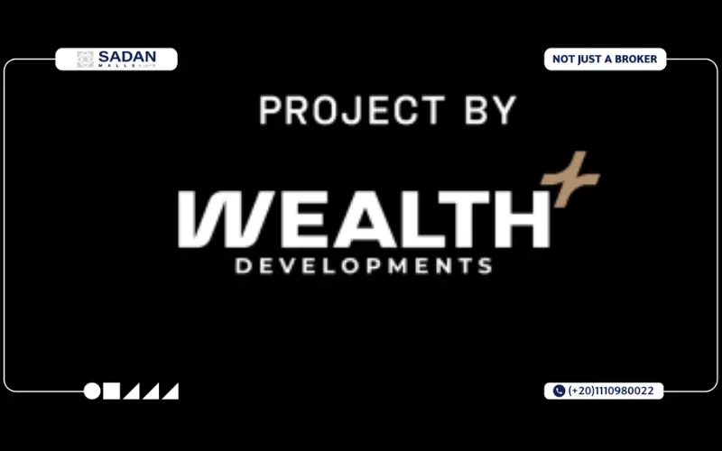 شركة ويلث بلس