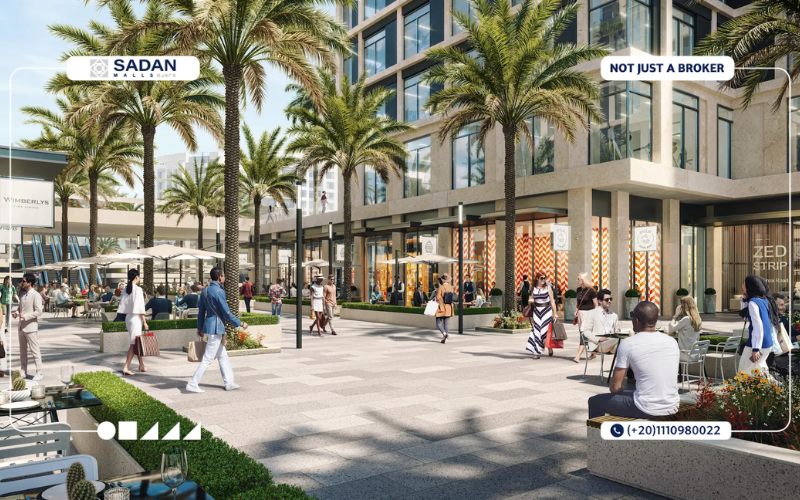 زيد ستريب مول الشيخ زايد Zed Strip Mall Sheikh Zayed